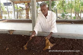 How to make Vermicompost from Cow Dung Manure?