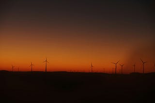 Environmental Policy