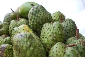 Soursop Bitters For Improved Health