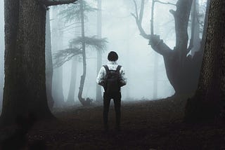 The Naked Forest
