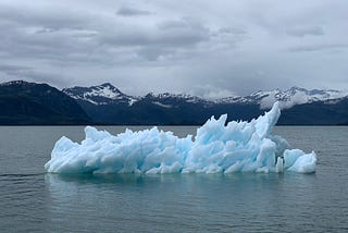 The Role of STEM in Solving Global Climate Change