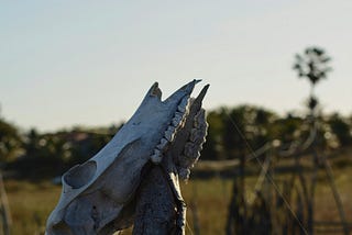 Rumbling at the bones