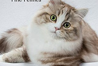 [READ] [EPUB KINDLE PDF EBOOK] Show Cats: Portraits of Fine Felines by Larry Johnson 📰