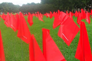 Red Flags финансовой модели