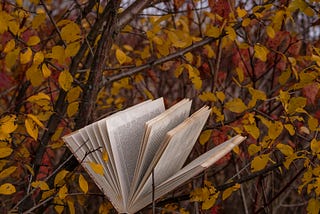 Öneri: Üç Kitap