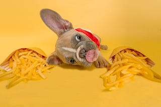 Fast Food: The Reality of Eating Our Own Dog Food