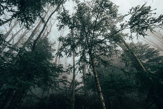 A Dark Age