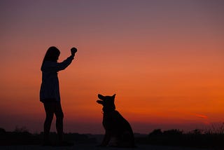 What I Learned About Leadership in Dog Obedience School