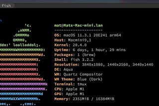 Storing Dotfiles in a Git Repository