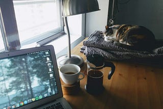 A cat sleeps peacefully beside a laptop