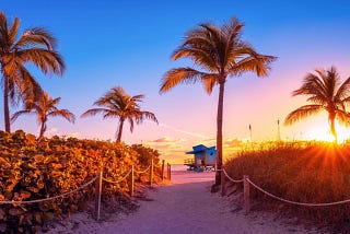 Summer in Full Swing: Your Ultimate Guide to the Hottest Season in Miami