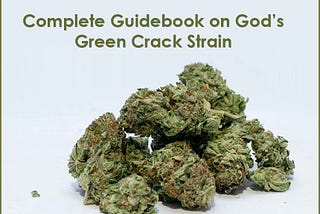 Complete Guidebook on God’s Green Crack Strain
