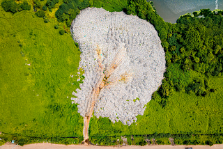 This is an aerial picture of a landfill in the middle a of pristine green wetland, next to a stream of water. The landfill looks like an alveola of waste in the middle of the landscape. It seems to blend with its environment due to its organic shape, but strikes a contrast by its content, plastic white amid a green lush environment.