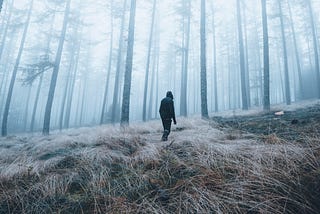 About Me — David Rudder