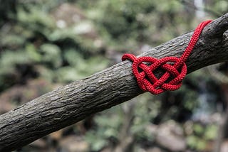 Handfasting…What a Great Idea!