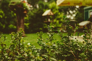Discovering in Solitude