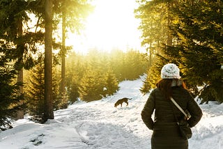 A woman walks towards a dog, down a snowy path between trees.