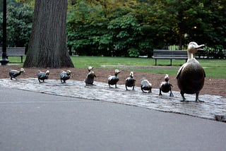 5 Ways to Get your Ducks in a Row