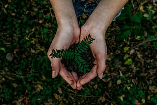 Harnessing the Power of AI and Automation to Achieve the Sustainable Development Goals