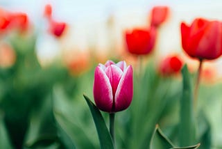 My Investment Results — April 2026