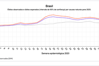 Monitoring Excess Mortality During the COVID-19 Pandemic — The Case of Brazil