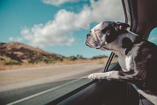 Sit close by the window…or you won't feel the breeze!