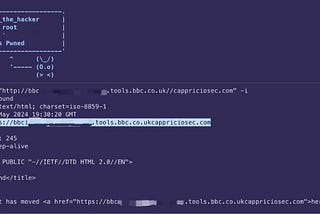 Finding and Mitigating Open Redirect Vulnerability in BBC