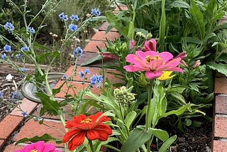 June Blooms