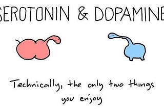 A humourous picture showing two hormones, Serontonin and Dopamine saying : Technically the only two things you enjoy.