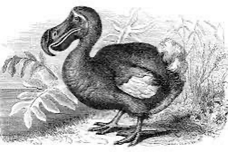 The Extinction of Venture Capital?