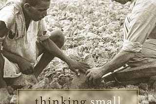 Thinking Small