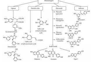 Figure showing major compounds of phytoestrogens.