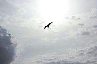 There’s Just Something Magical About Trusting Your Gut