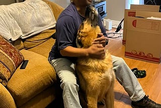 The Other Side of Rehoming a Pet