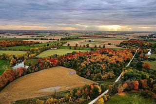 Which of the Favours of Your Lord Would You Deny?