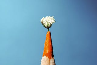50 Million Plantable Pencils Sold: How Sproutworld is Greening the World with Sustainable…