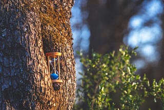 An hourglass filled with blue sand is nestled in the knot of a tree.