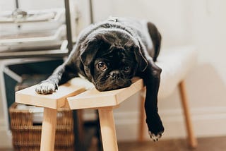 Why Boredom Is the Ultimate Flex