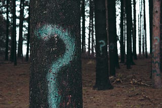 A row of trees in a forest all have a question mark spray painted on them.