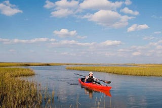 New plans would protect salt marsh, coastal communities and military installations