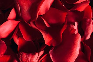 Valentine’s Day: Grief Has Your Name
