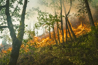 AVENTURA E NJË SHTEGTARI