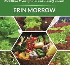 hydroponics-for-beginners-3111456-1