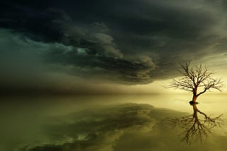 A bare tree standing in water with ominous clouds overhead and warm yellow light in the background