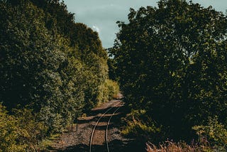 Social Distancing in a Shared House; Day 24: Railway Lines