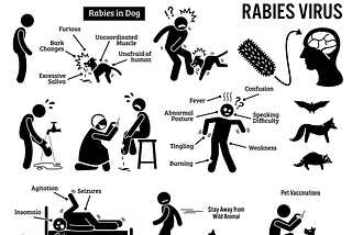 Dr. L.H. Hiranandani Hospital: What are the common signs and symptoms of Rabies?