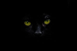 A black background frames a black cat with yellow eyes. Nothing else is visible