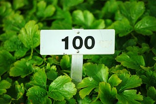One Hundred