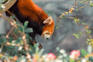 A closer look at Redpanda