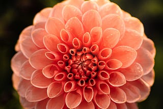 Dahlia Part 1: Affine types for  High Level Synthesis